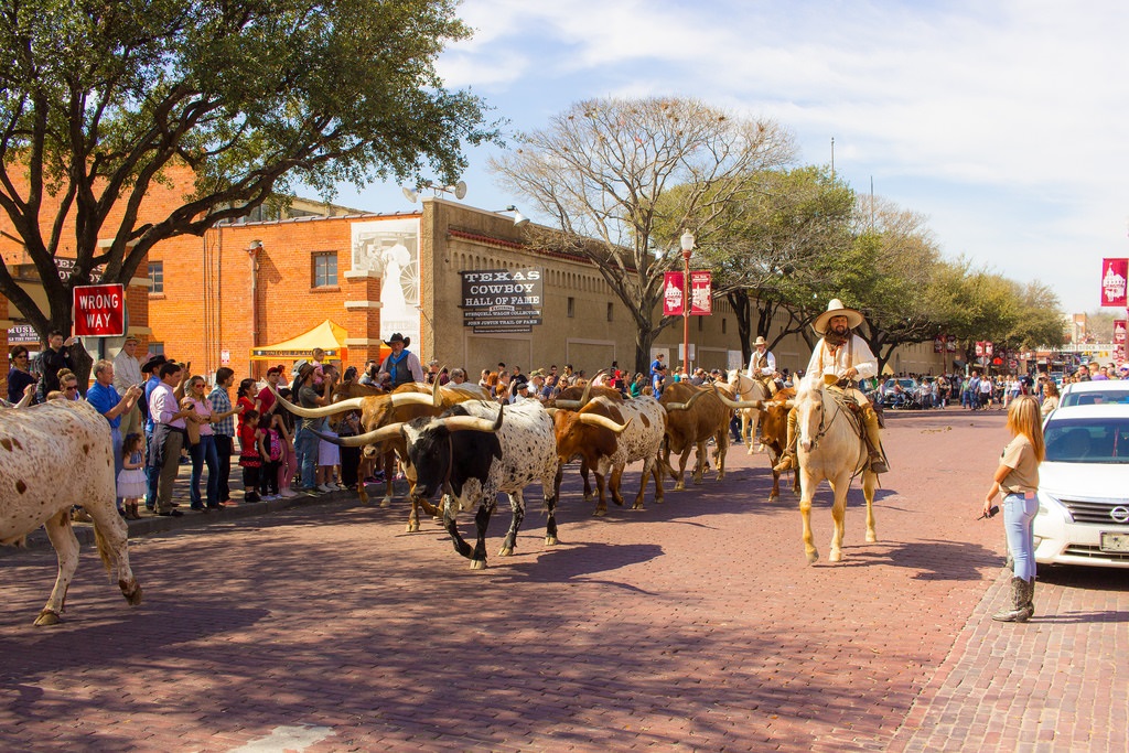 Talkin-Texas-Fort-Worth-Cattle-Drive